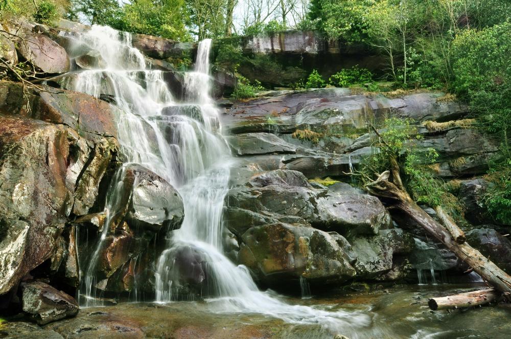 Explore a challenging trail to see the tallest waterfall in the park.