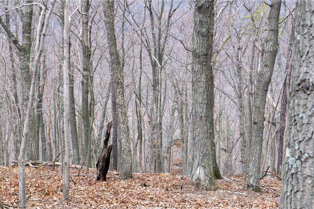 Berkeley Springs State Park - 2 hours from Washington, D.C.