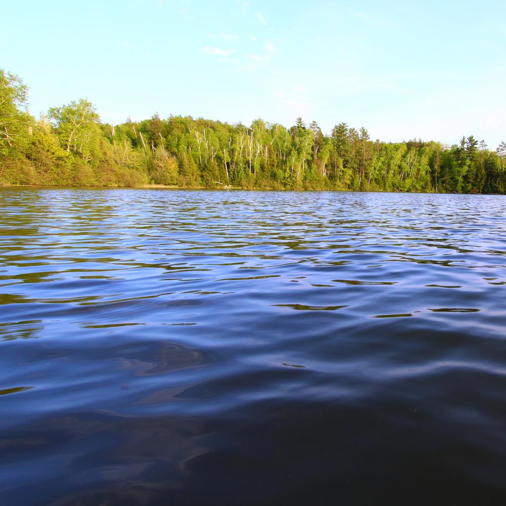 Castle Rock Lake - 1 hour and 15 minutes from Madison