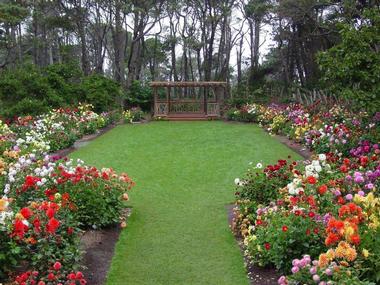 Mendocino Coast Botanical Gardens