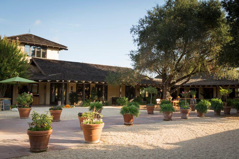 Breathe in the Beauty: Enjoy Exceptional Chardonnay and Pinot Noir at Landmark Vineyards