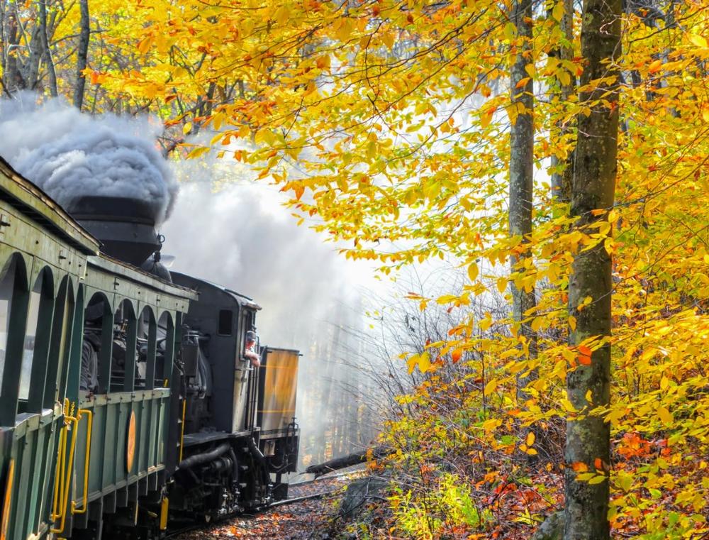 Cass Scenic Railroad State Park