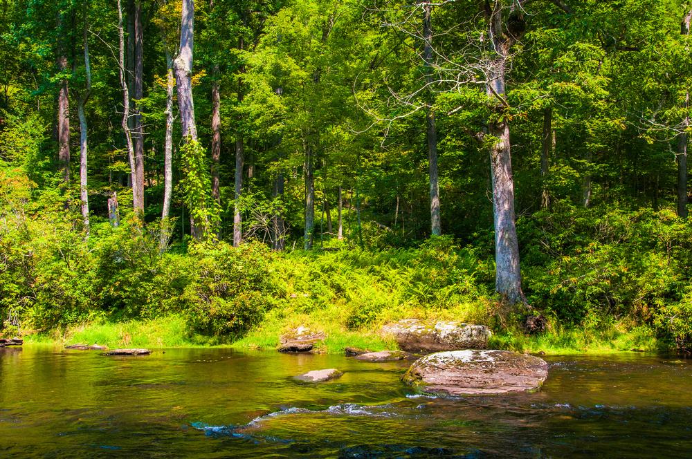 Gunpowder Falls - 40 minutes from Baltimore