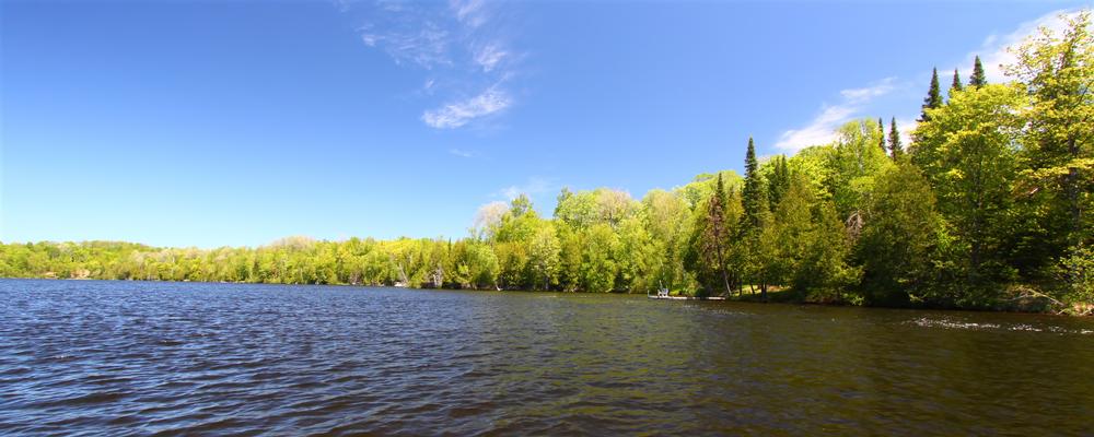 Delavan Lake - 2 hours from Chicago