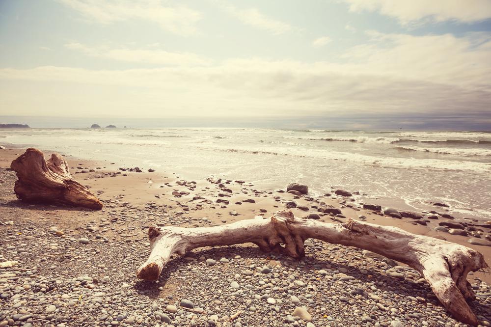 Explore tide pools and admire stunning coastal scenery.