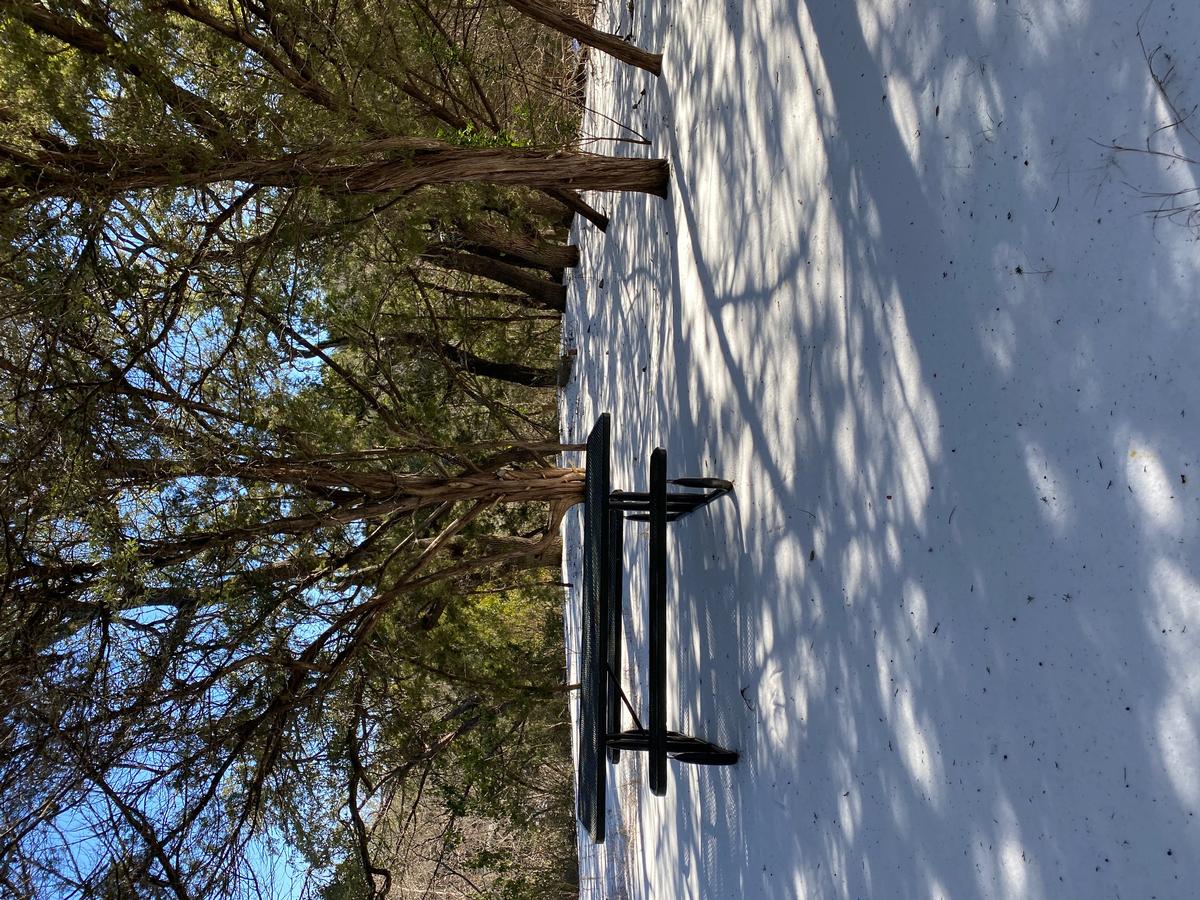 My photo of snowy landscape in The Wisconsin Dells