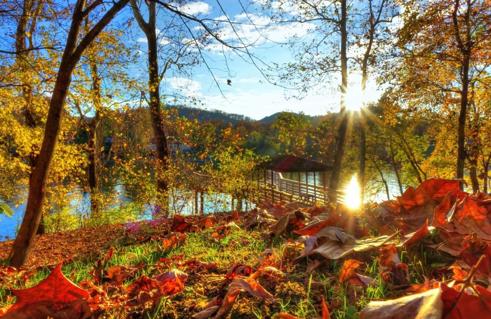 Walk along the scenic riverfront or visit the striking gold-domed capitol building.