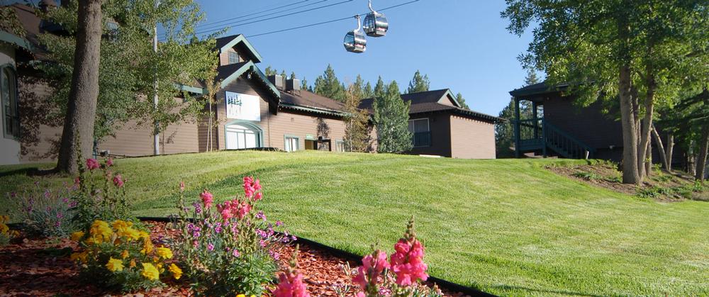 Relax Steps from the Action at Forest Suites Resort