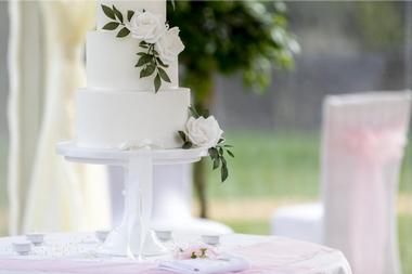 Hamilton Oaks Vineyard Events