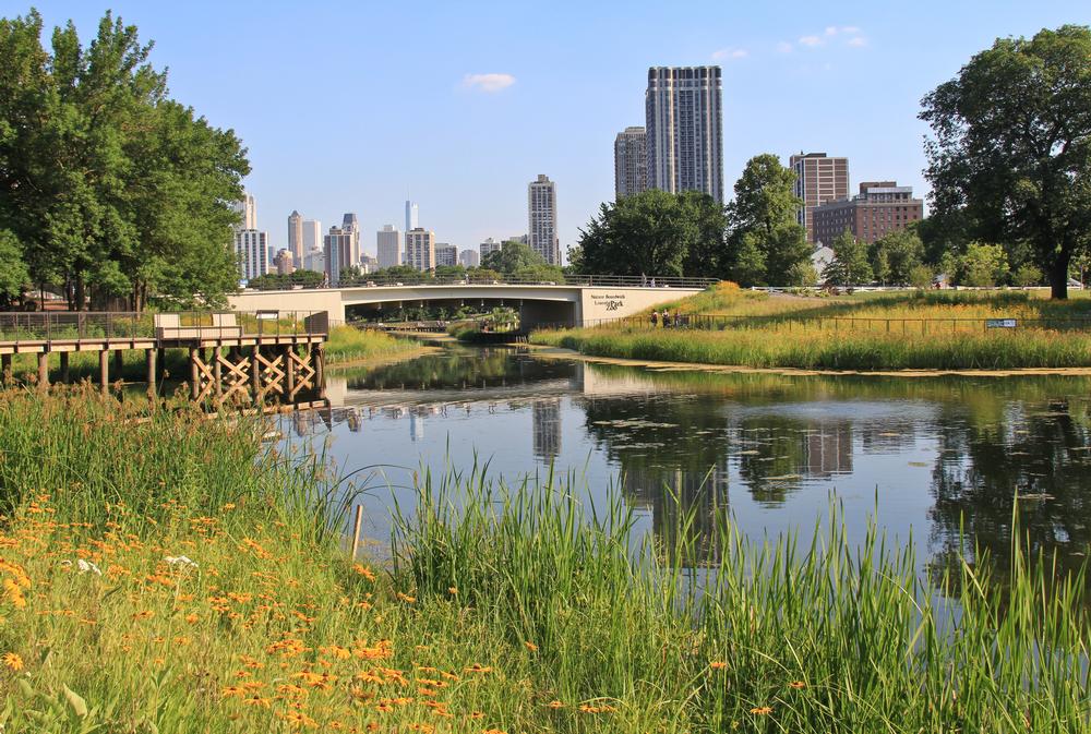 Stroll Through Free Wildlife Wonders at Lincoln Park Zoo