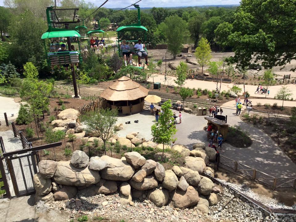 Explore Vast Habitats and Hidden Worlds at Henry Doorly Zoo