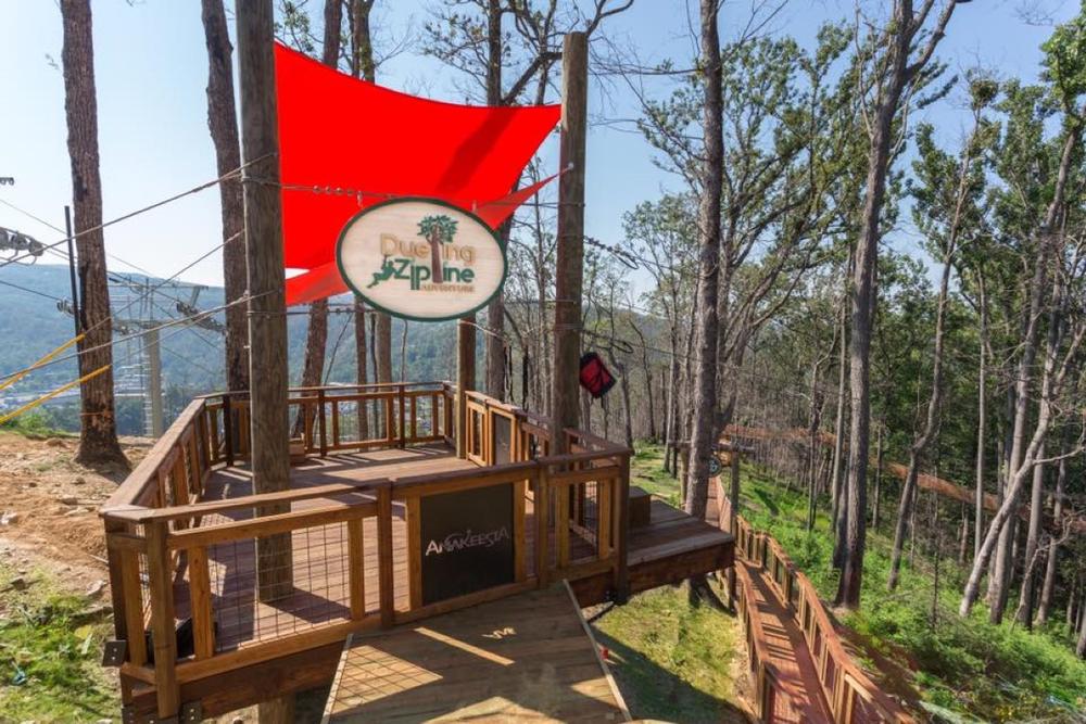 Experience Epic Views at CLIMB Works Smoky Mountains - Zipline Tour