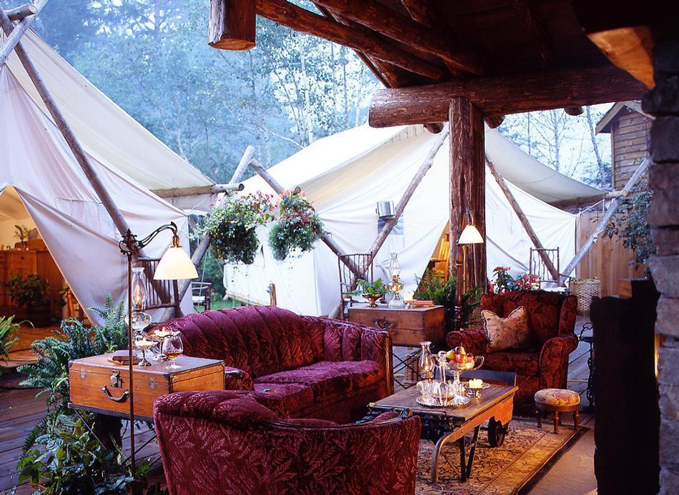 Glamp under the stars where old-growth forests and ocean mist meet splendor