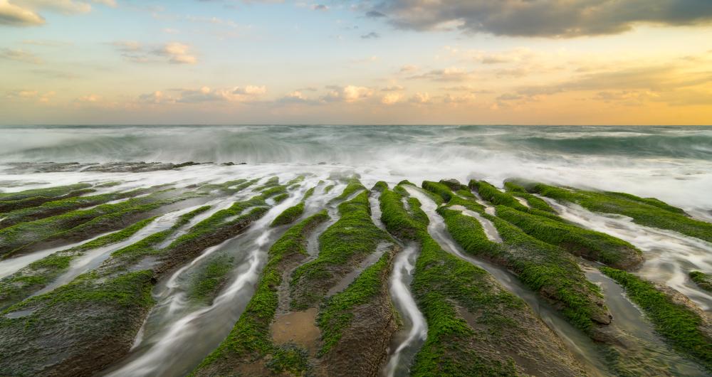 Taiwan Beaches