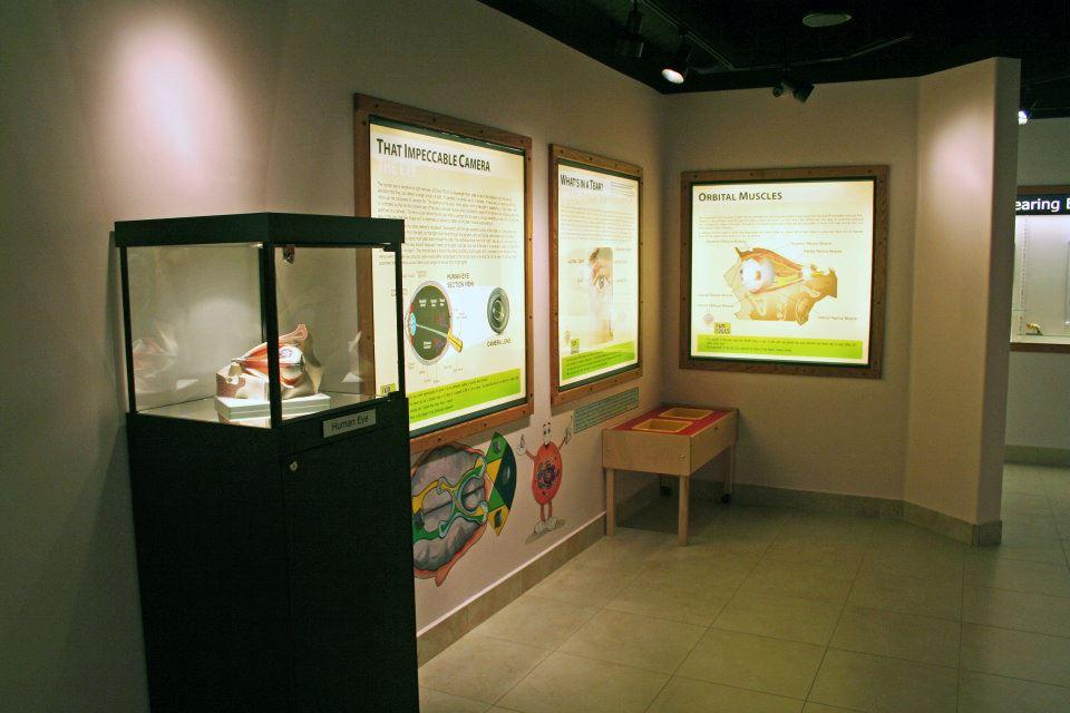 If You’re Curious About Origins, Explore the Creation and Earth History Museum