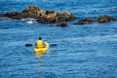 Monterey Kayaking Tours