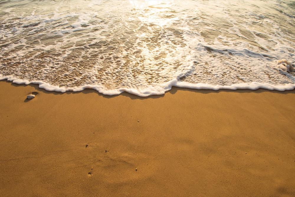 Walk the boardwalk and enjoy easy beach access with the kids.