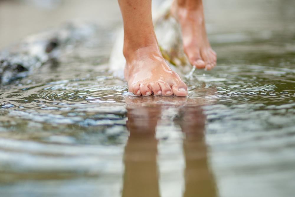 Carolina Beach State Park - a 25-minute from Wilmington