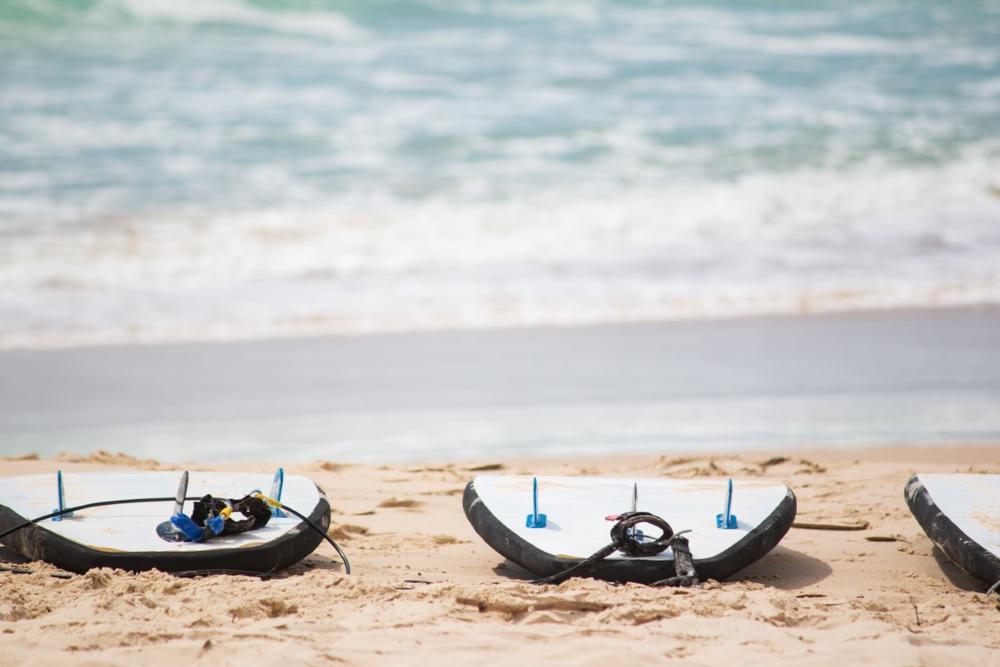 Explore Coastal Wonders with EcoVentures