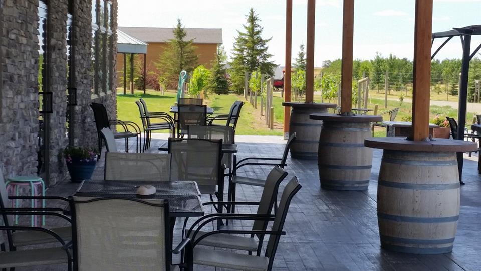 If You Love Cozy Tasting Rooms, Relax at Fluffy Fields Vineyard and Winery