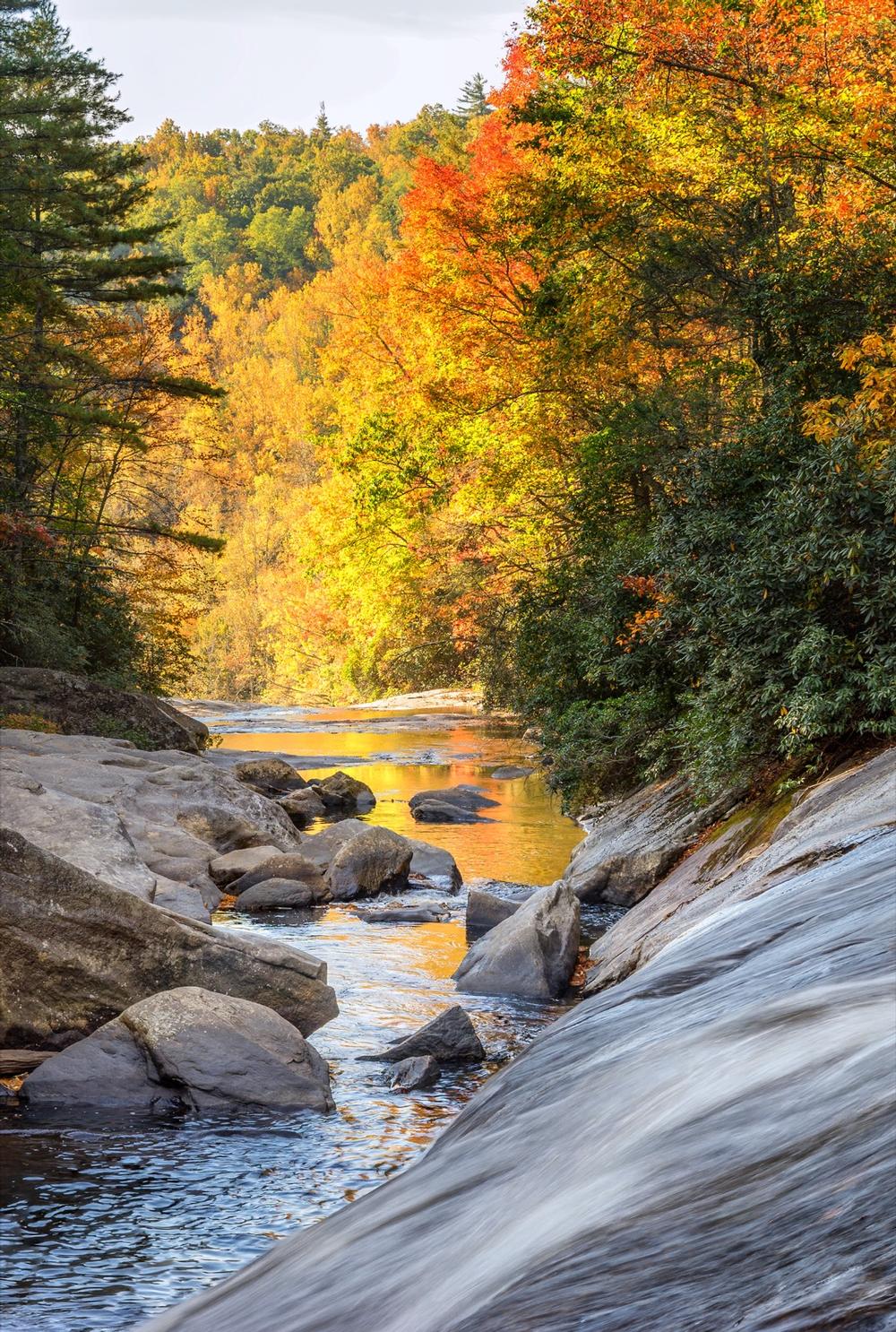 Gorges State Park - a 1 hour 30-minute drive from Asheville