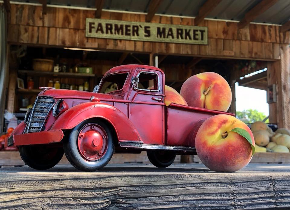 Shop Fresh and Local at Me & McGee Market