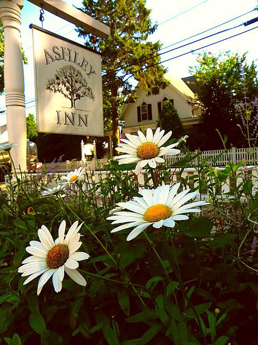 If You’re After Intimate Island Comfort, Unwind at Ashley Inn
