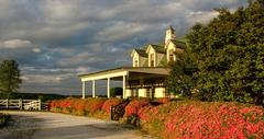 The Red Horse Inn
