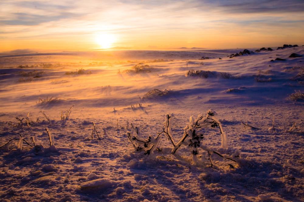 Experience Arctic Solitude and Northern Lights in Coldfoot