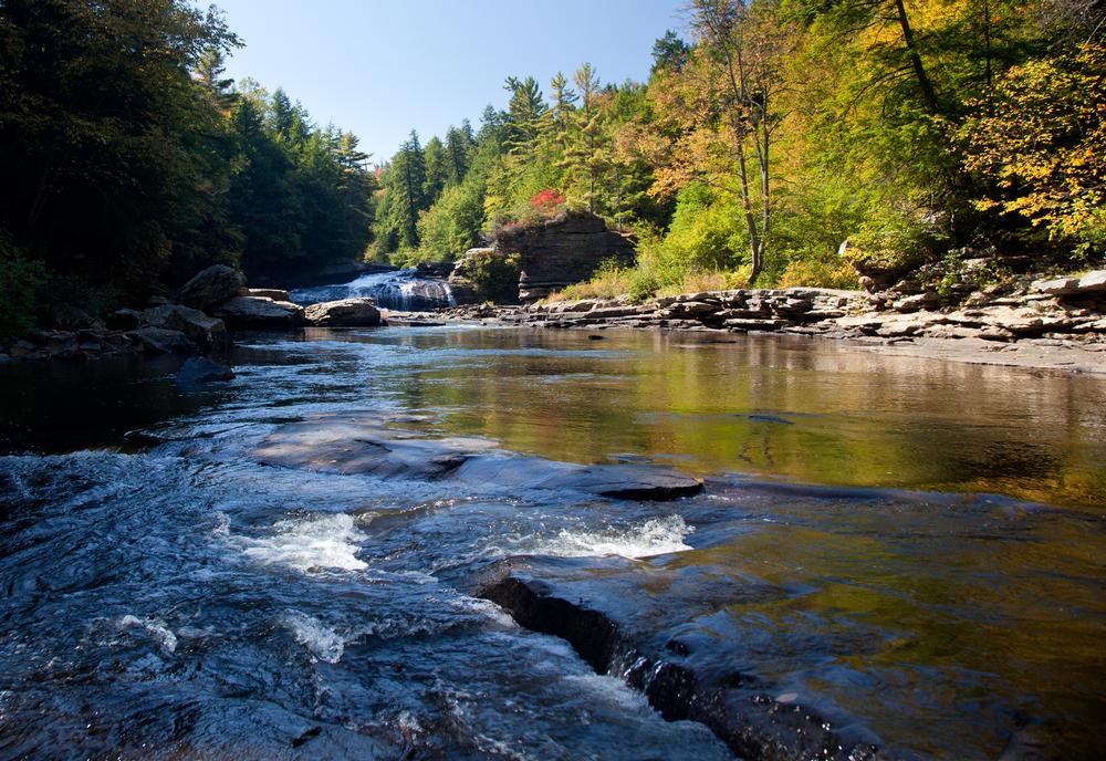 Hike and Connect With Nature at Great Seneca Stream Valley Park