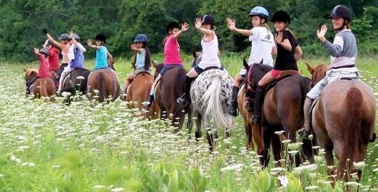 Ride, Learn, and Bond With Horses at Hunt View Riding Academy