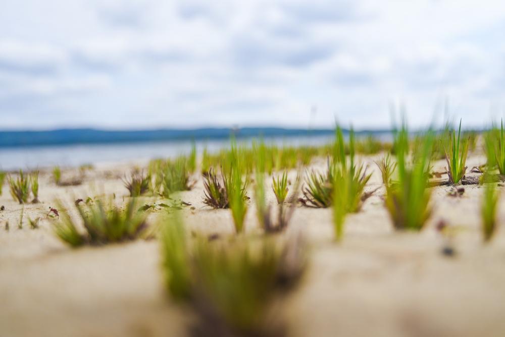 West Lake Beach - 20 minutes  from Austin