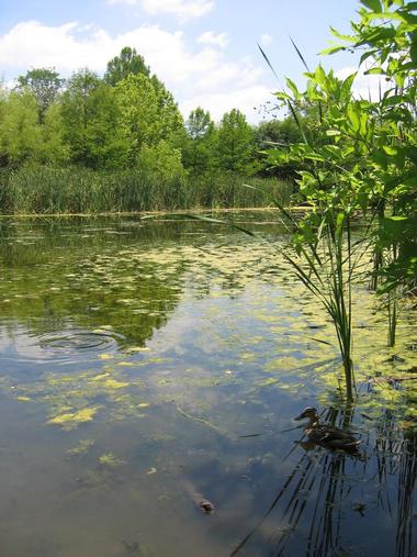 Wild Basin Wilderness Preserve | Scenic Hiking Trails Near Austin, Texas