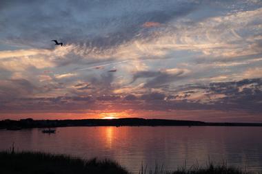 Ferry Beach