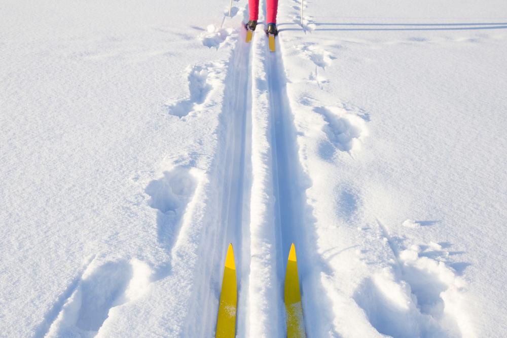 Ski, Slide, or Zip Through Fun at Attitash Mountain Resort