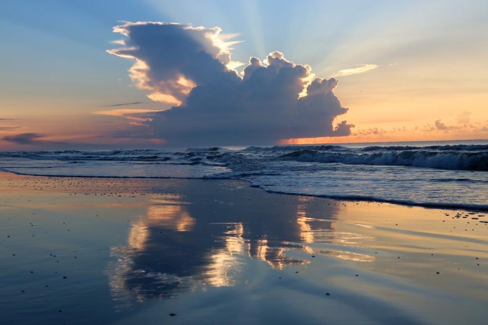 Huntington Beach State Park - 30 minute drive south of Myrtle Beach