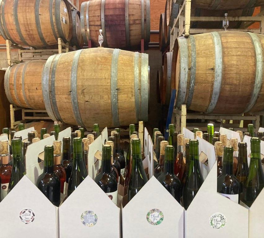 Sip and Savor Vineyard Views at Running Brook Vineyard and Winery