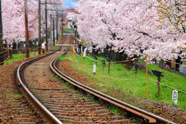 Getting to Kyoto from Tokyo by Train