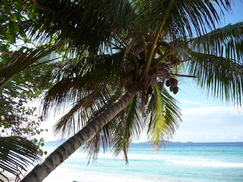 Long Bay - 25 minutes from Road Town