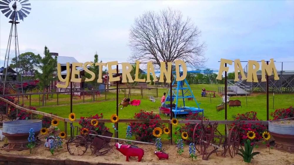 If You’re Craving Farm Fun and Festive Days, Visit Yesterland Farm