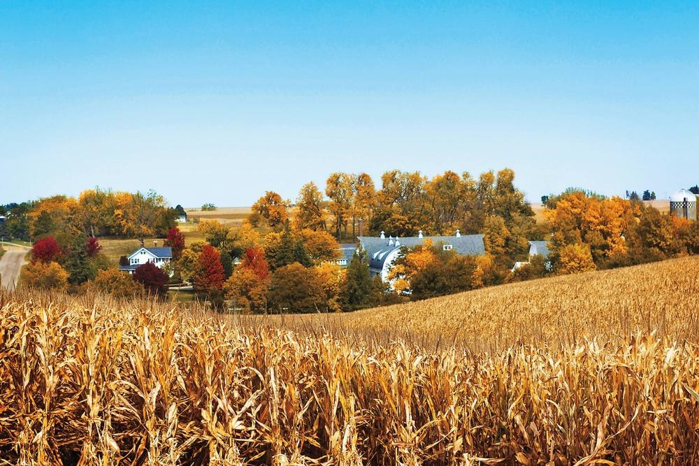 Taste Tradition at Maytag Dairy Farms
