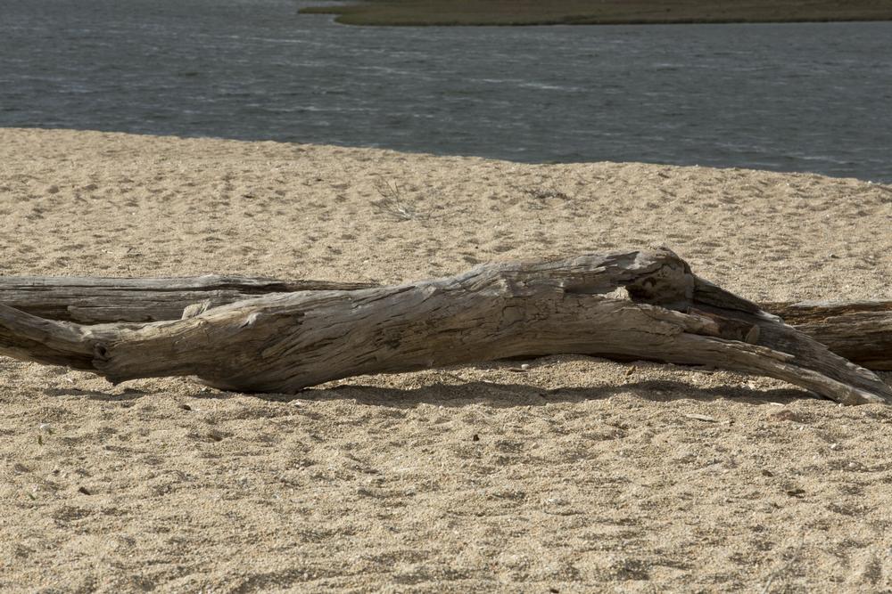 Hike Coastal Trails at Bluff Point State Park