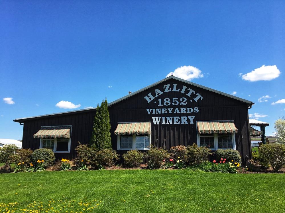 Sip and Celebrate at Hazlitt 1852 Vineyards