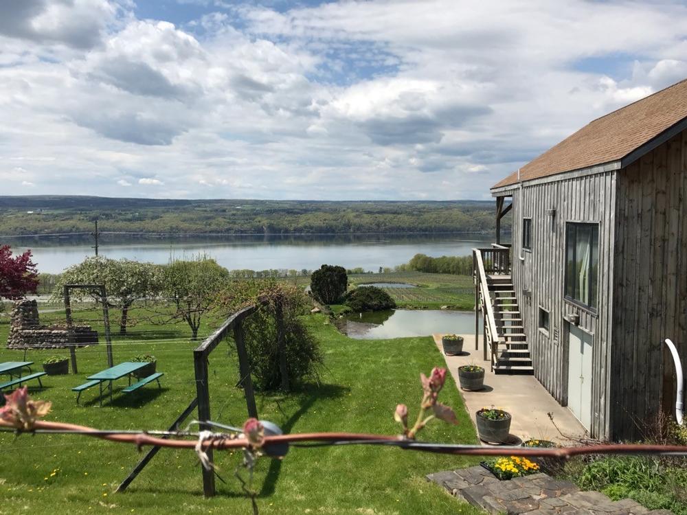 If You’re Seeking Scenic Sips, Unwind at Chateau Lafayette Reneau