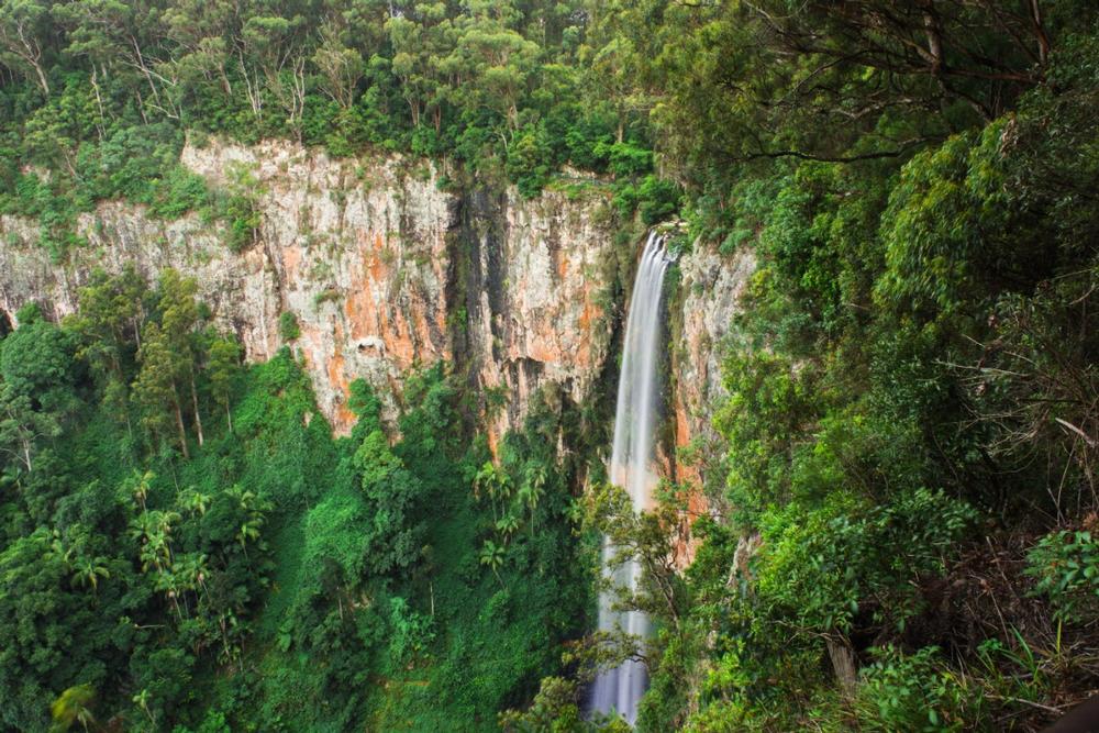 Step Into Rainforest Magic at Springbrook National Park