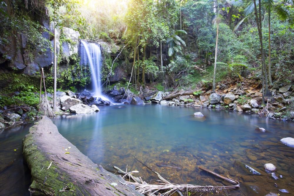 Breathe in the Charm of Tamborine Mountain