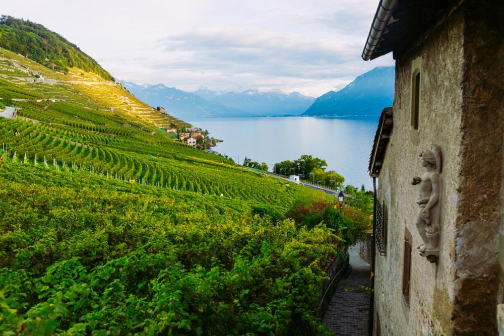 Sip and Stroll Through the Breathtaking Lavaux Vineyards