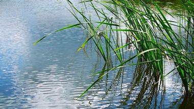 Chipeta Lake State Wildlife Area