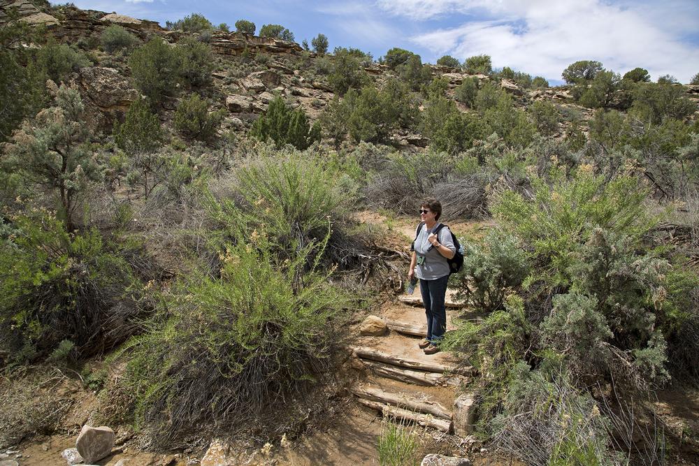 Hike Scenic Paths Along the Ute Trail