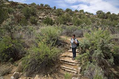 Ute Trail